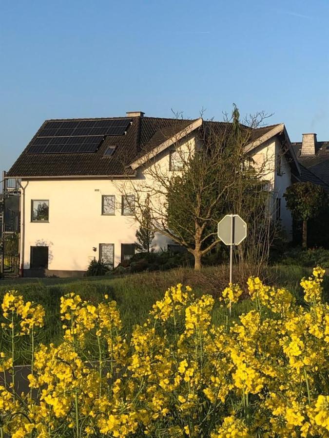 Ferienwohnung Auf Dem Maifeld Gappenach Екстер'єр фото